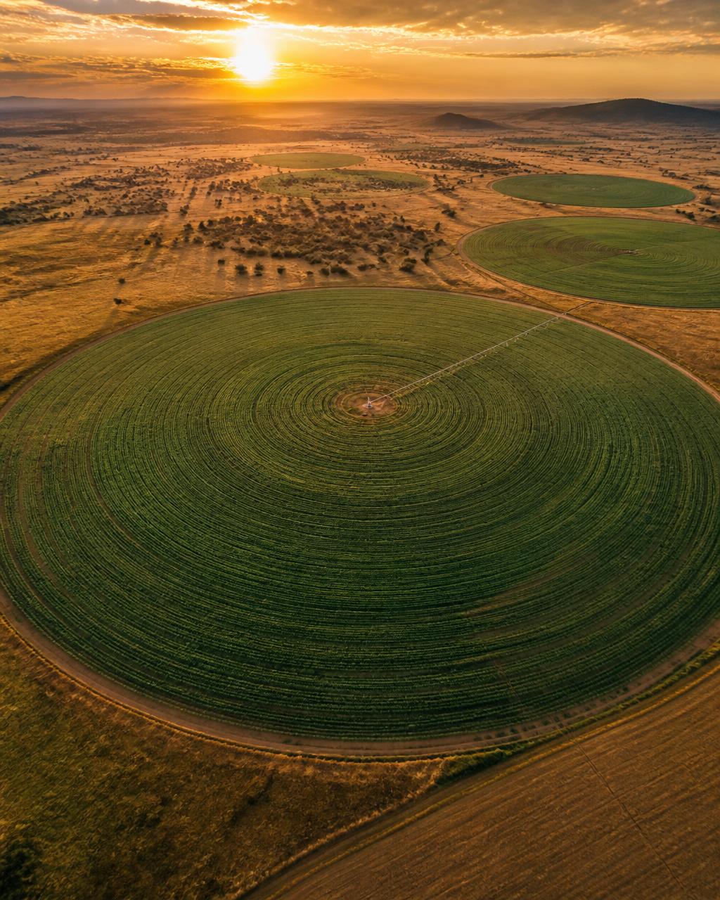 Aerial view of centre-pivot irrigation circles in Zimbabwe at sunset